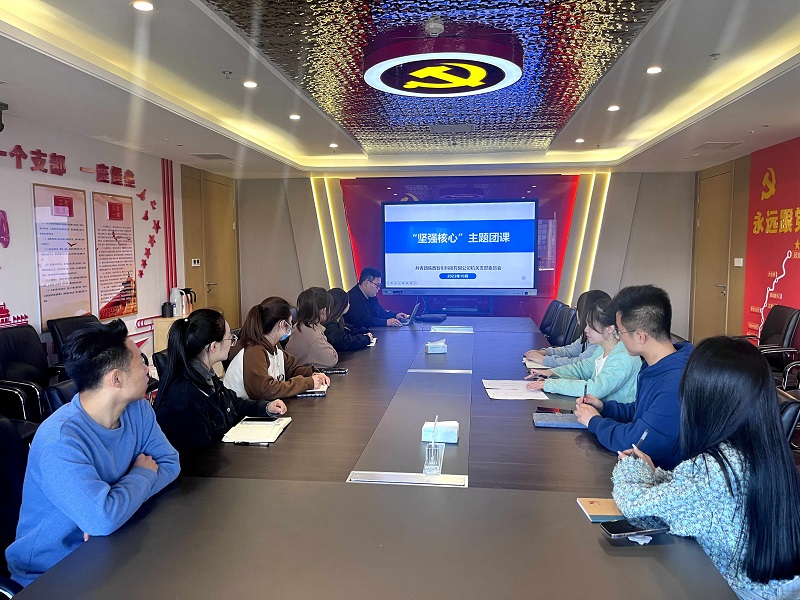 堅(jiān)定不移跟黨走 爭(zhēng)做新時(shí)代好青年——智引公司團(tuán)總支開(kāi)展“堅(jiān)強(qiáng)核心”專題團(tuán)課