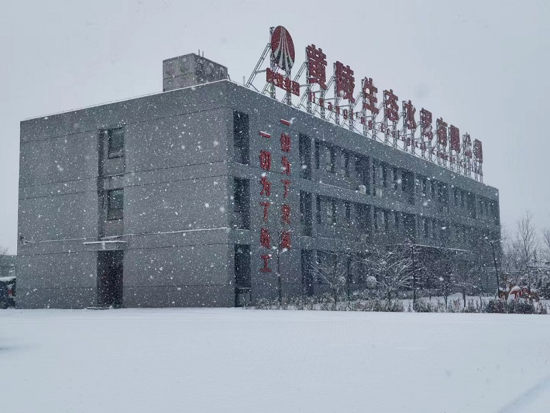 黃陵深冬，與雪共一場清歡